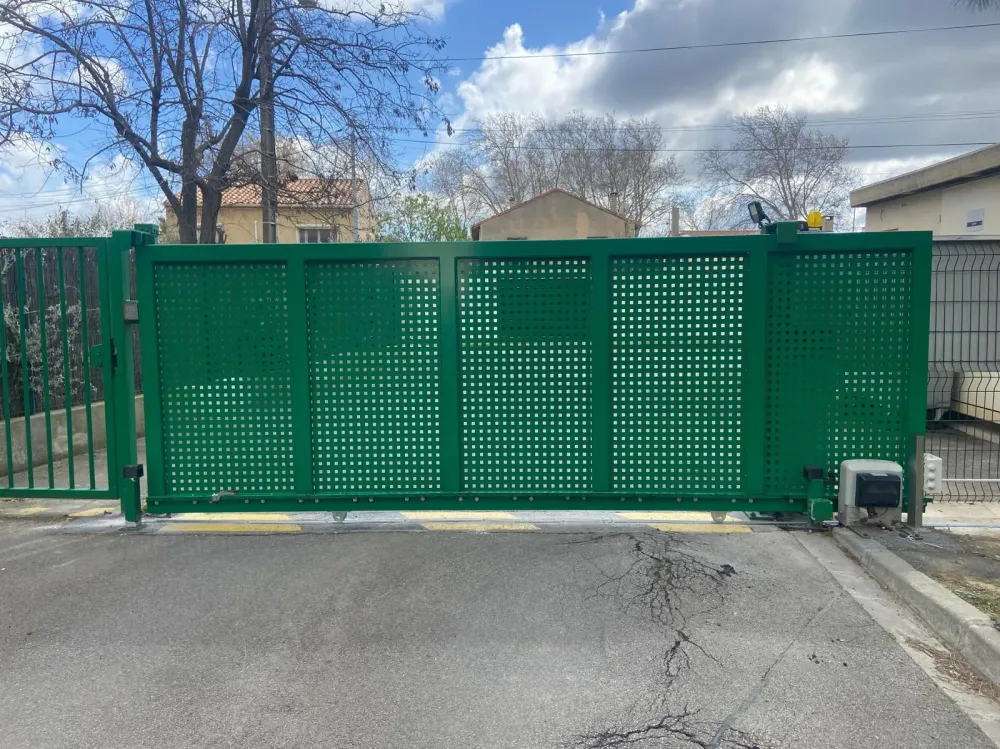 PHOTO-2026-02-03-08-50-17 7